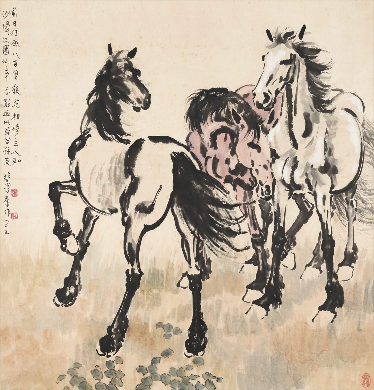 Chevaux au galop