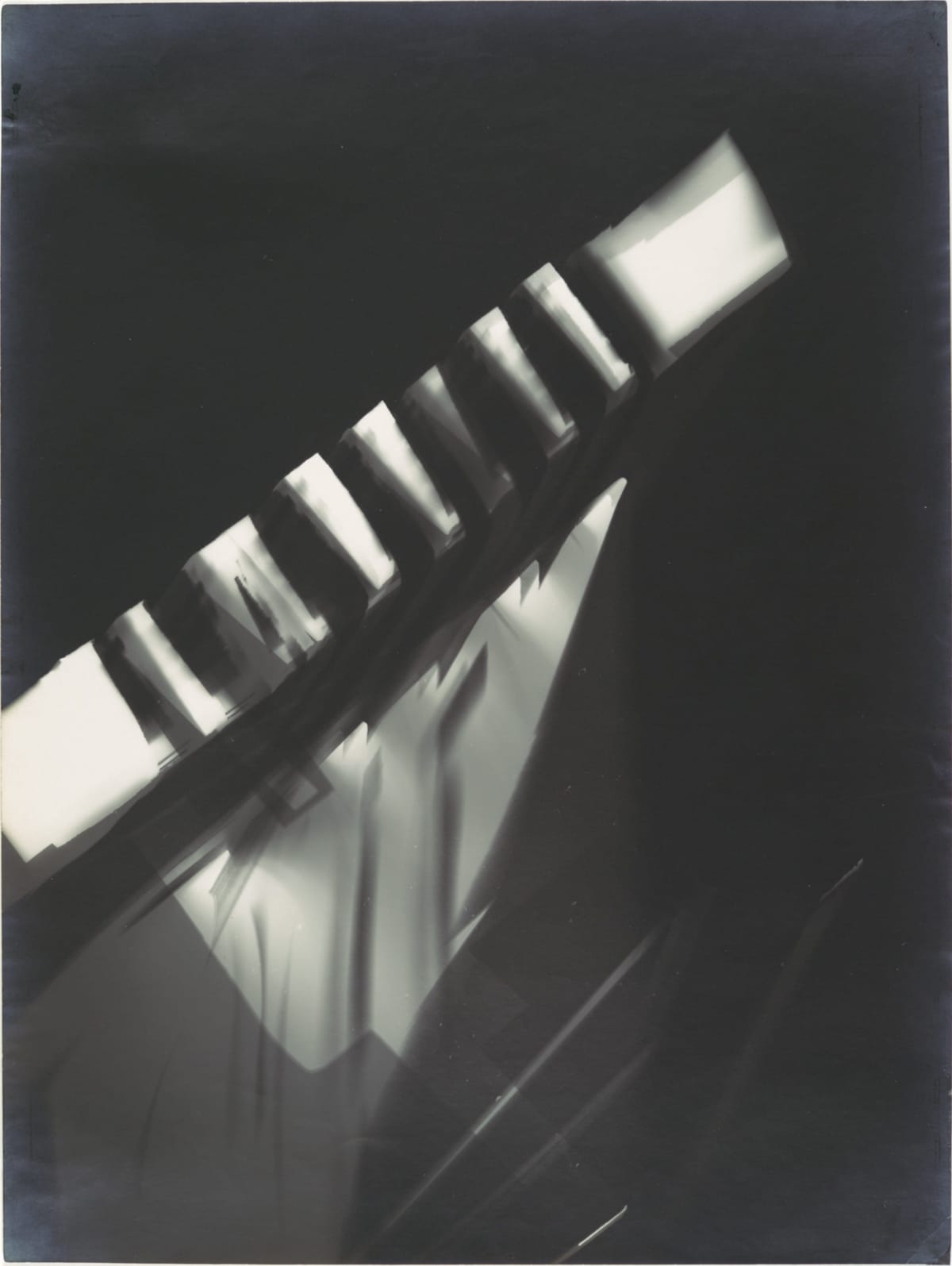 Photogramme (sans titre)